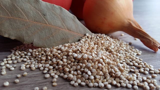 Qué es la quinoa y que beneficios tiene